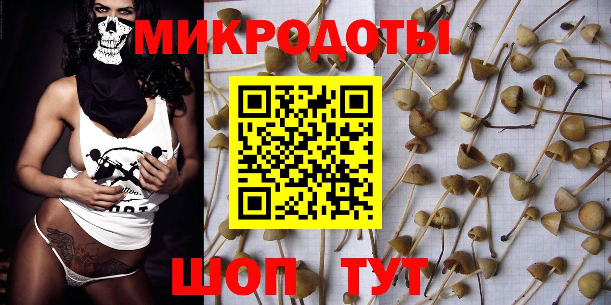 Дмитров  Псилоцибиновые грибы GOLDEN TEACHER  Вход с VPN 