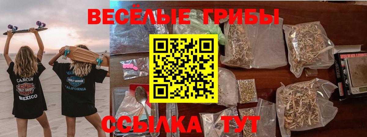 Галлюциногенные грибы мухоморы Дмитров